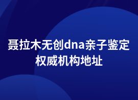 聶拉木無創(chuàng)dna親子鑒定在哪能做